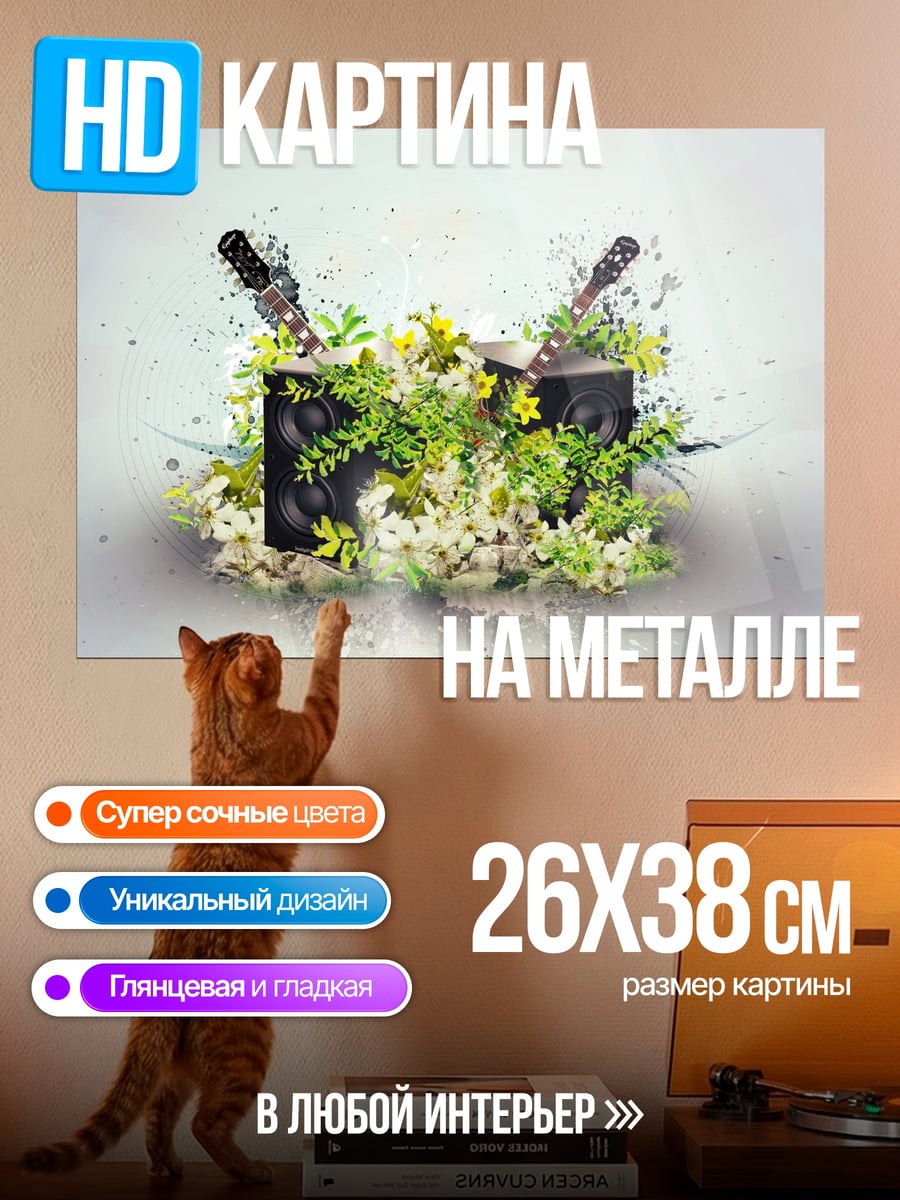 Картина на металле Музыкальные колонки