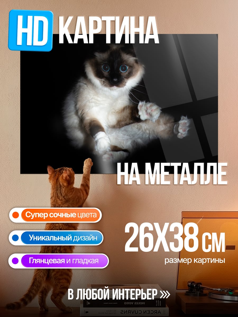Картина на металле Сиамский кот в темноте