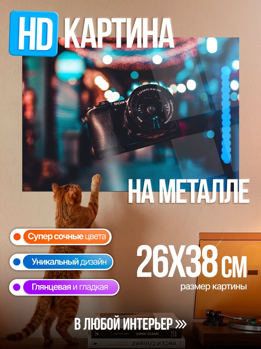 Картина на металле Камера на улице