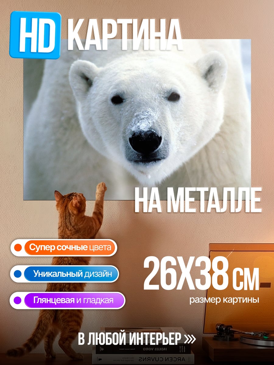 Картина на металле Белый медведь