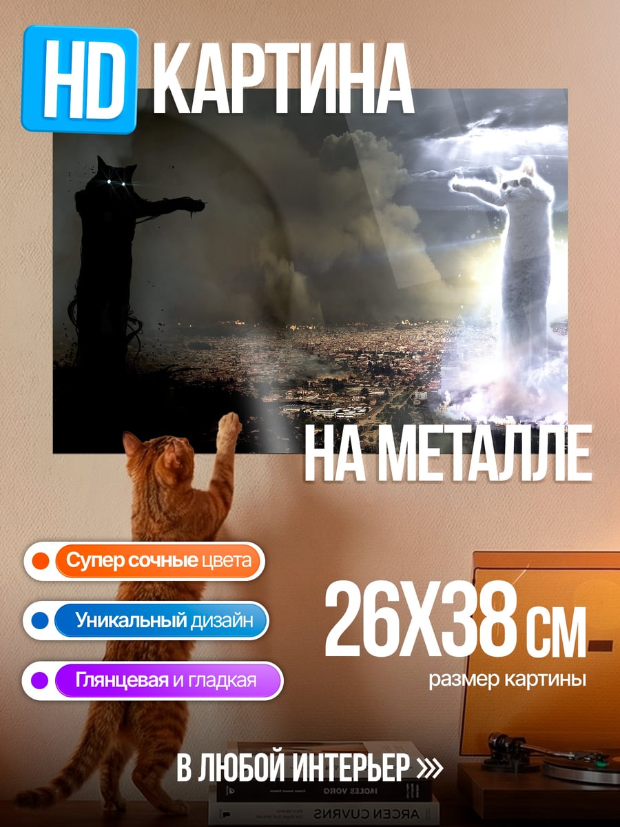 Картина на металле Черный и белый кот