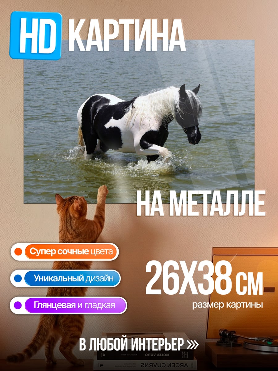 Картина на металле Пегий конь в воде