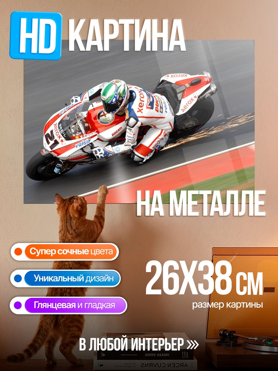 Картина на металле Гонщик на мотоцикле