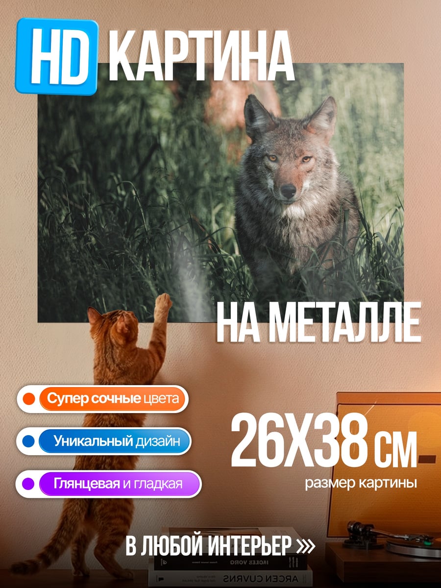 Картина на металле Волк Трава Взгляд
