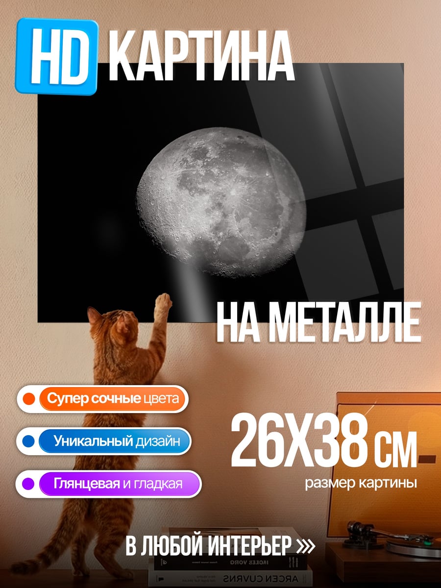 Картина на металле луна в черном небе