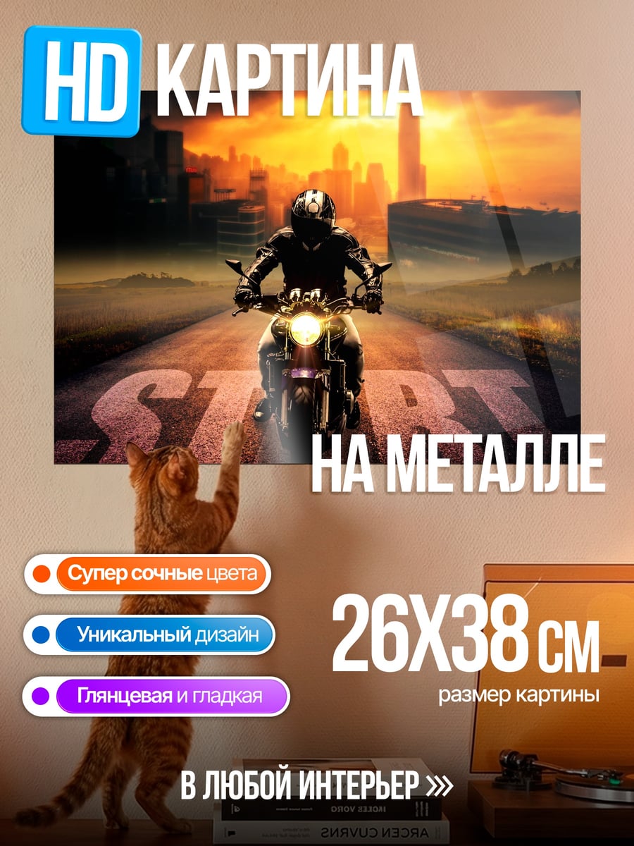 Картина на металле мотоцикл старт