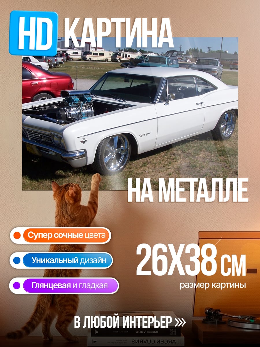 Картина на металле белый маслкар