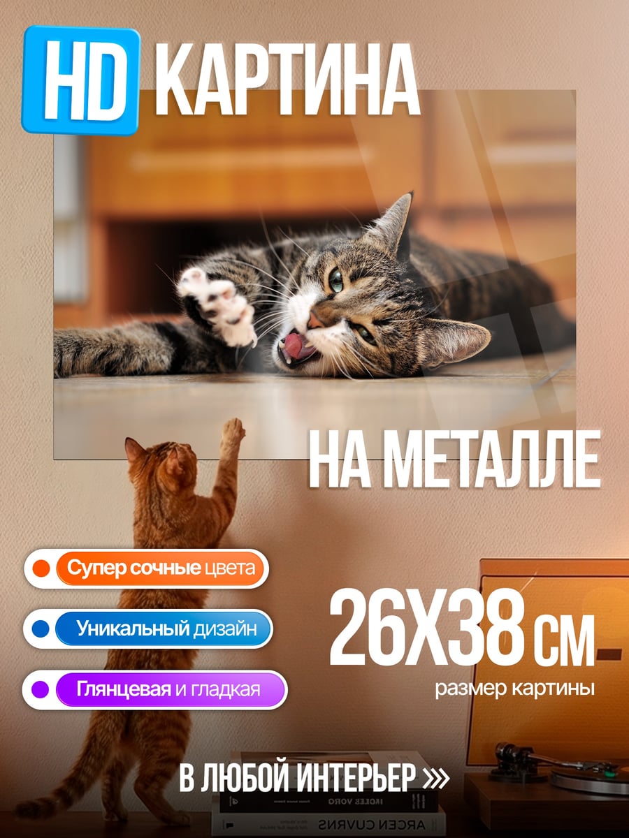 Картина на металле Ленивый кот зевает