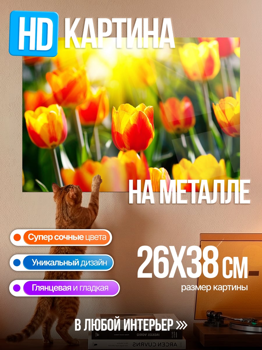 Картина на металле яркие тюльпаны на солнце