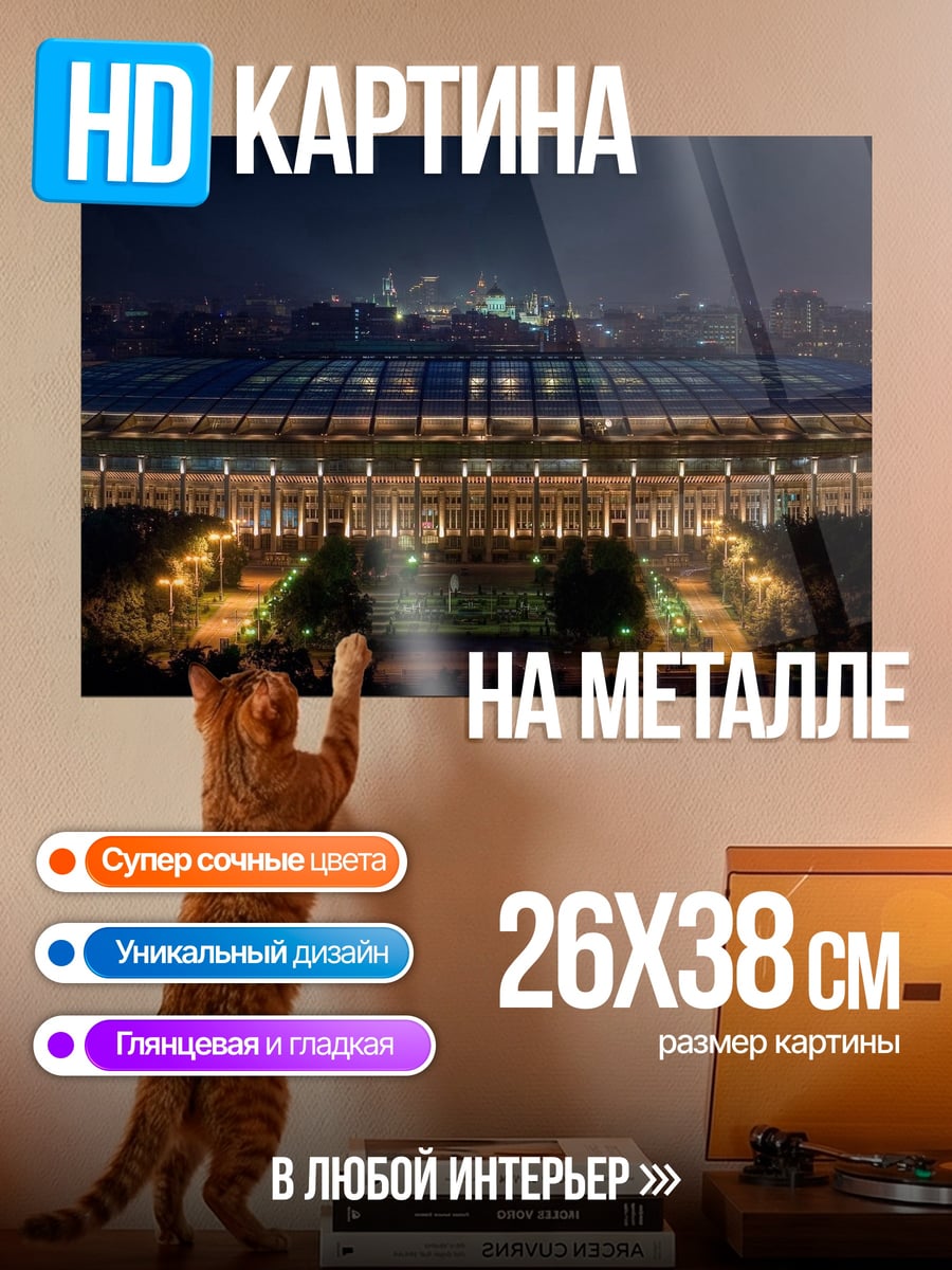 Картина на металле Стадион ночью