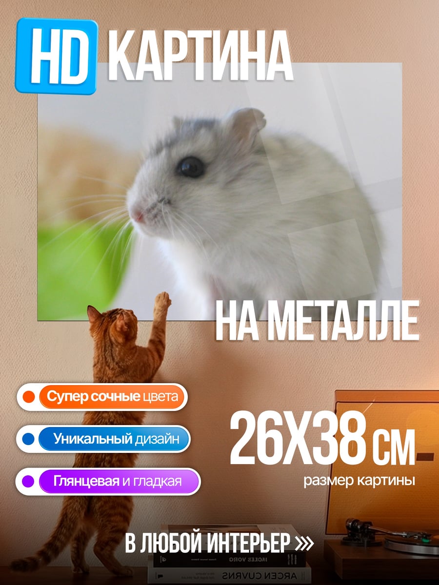 Картина на металле пушистый хомяк