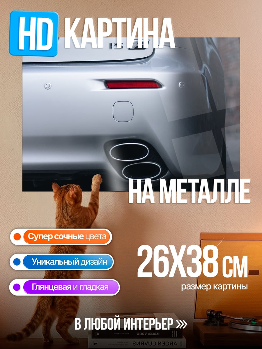 Картина на металле Задняя часть Lexus