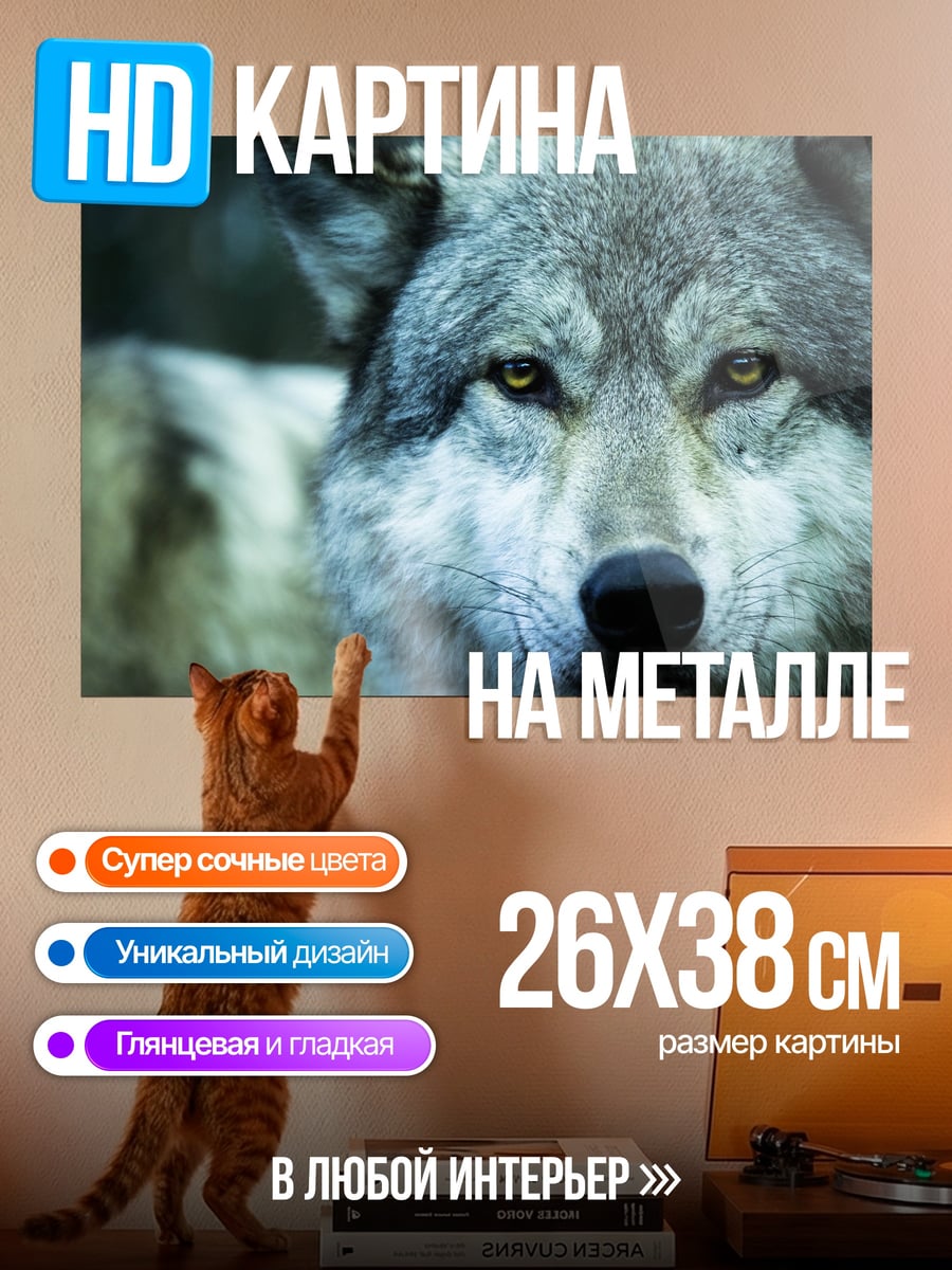Картина на металле портрет волка