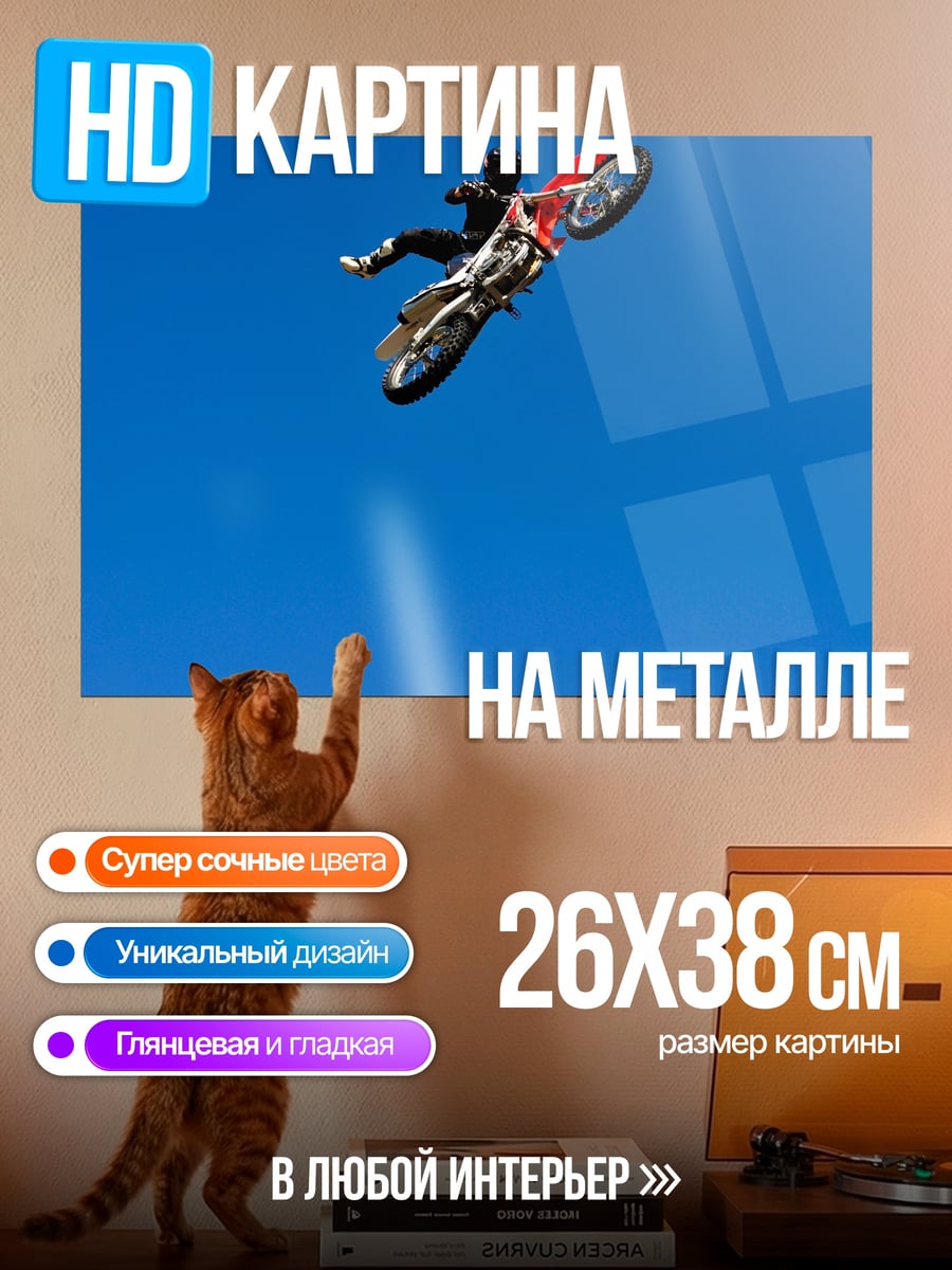 Картина на металле Мотоциклист в небе