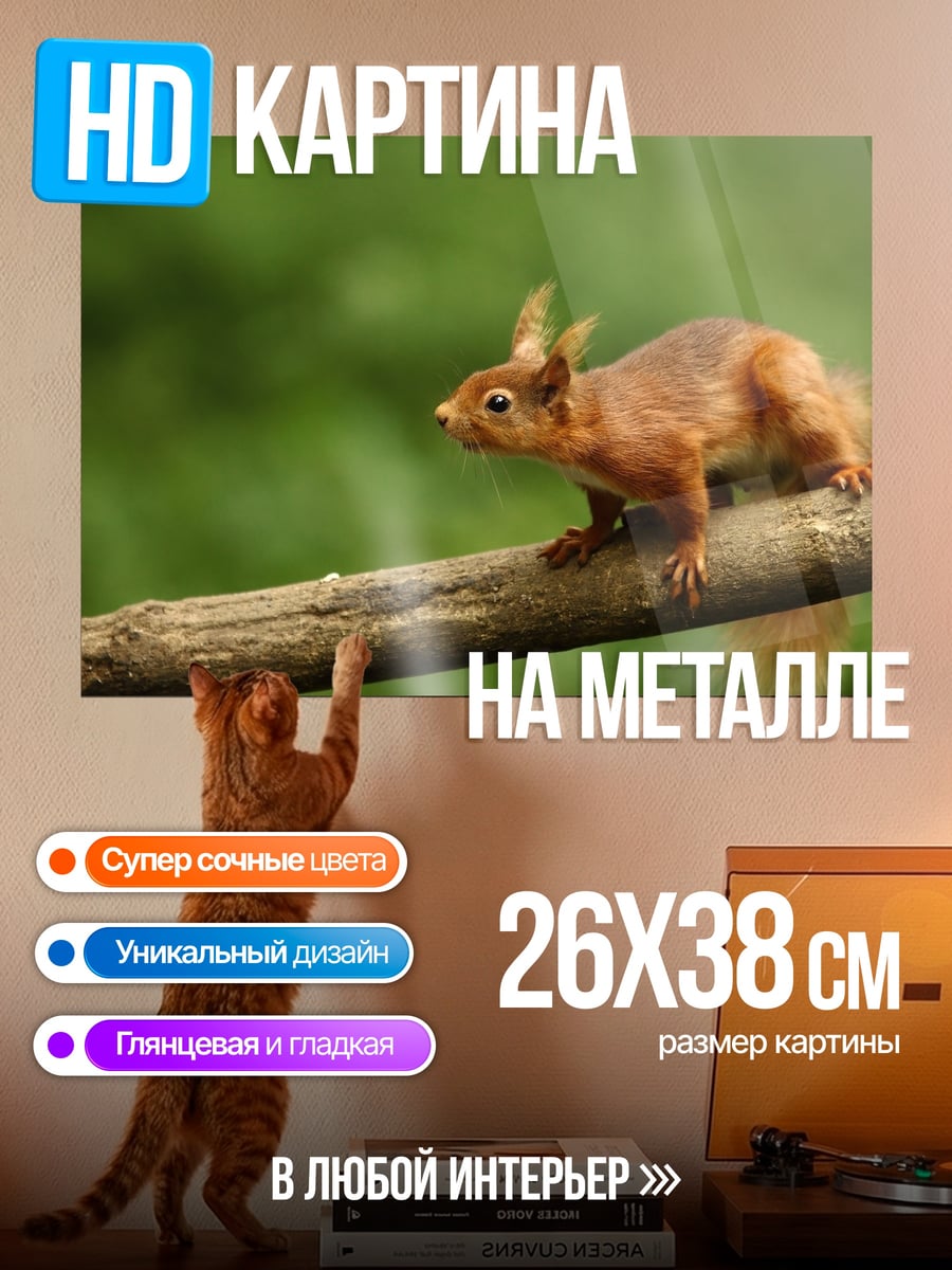 Картина на металле Белка на ветке