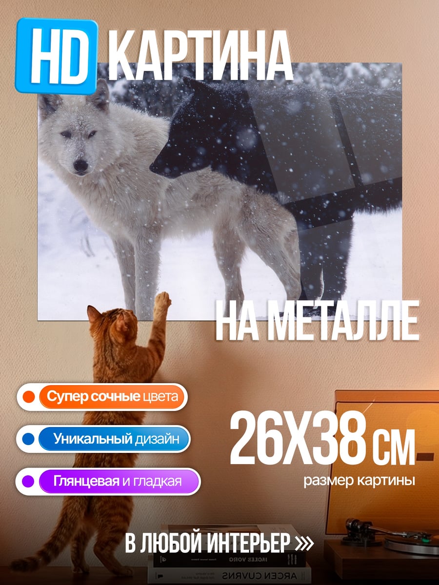 Картина на металле Белый и черный