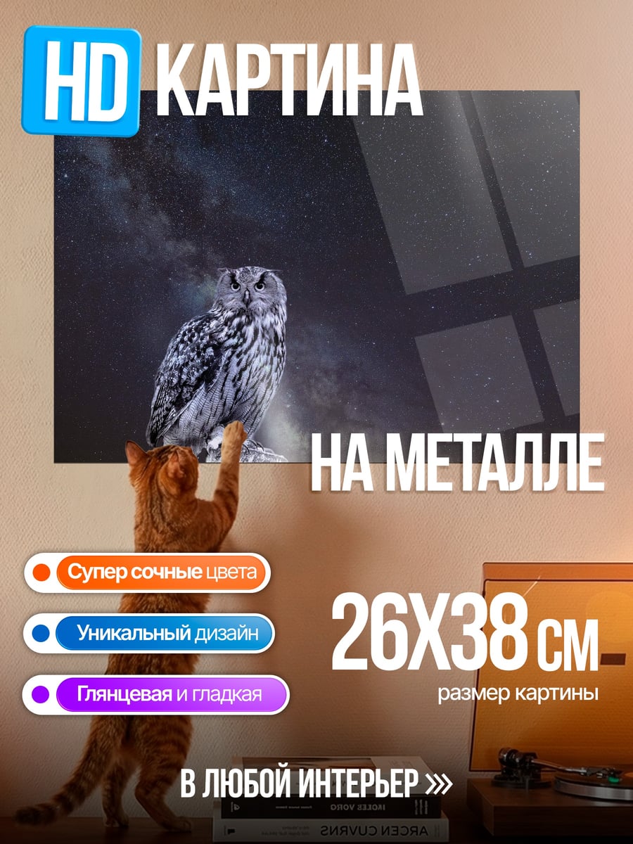 Картина на металле Сова под звездами
