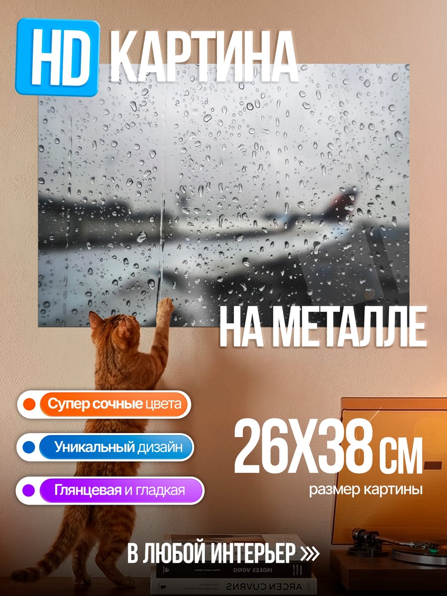 Картина на металле самолет в дожде