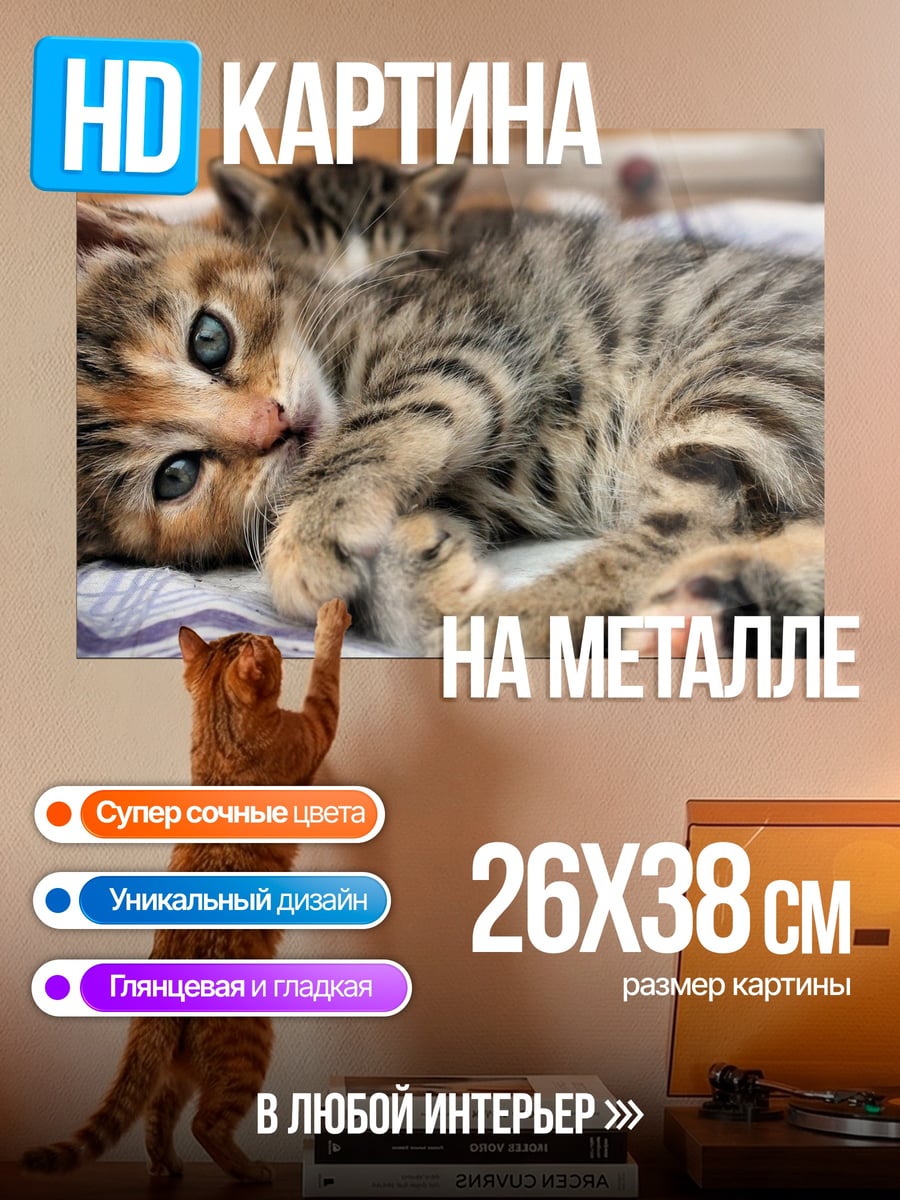Картина на металле Два котенка играют