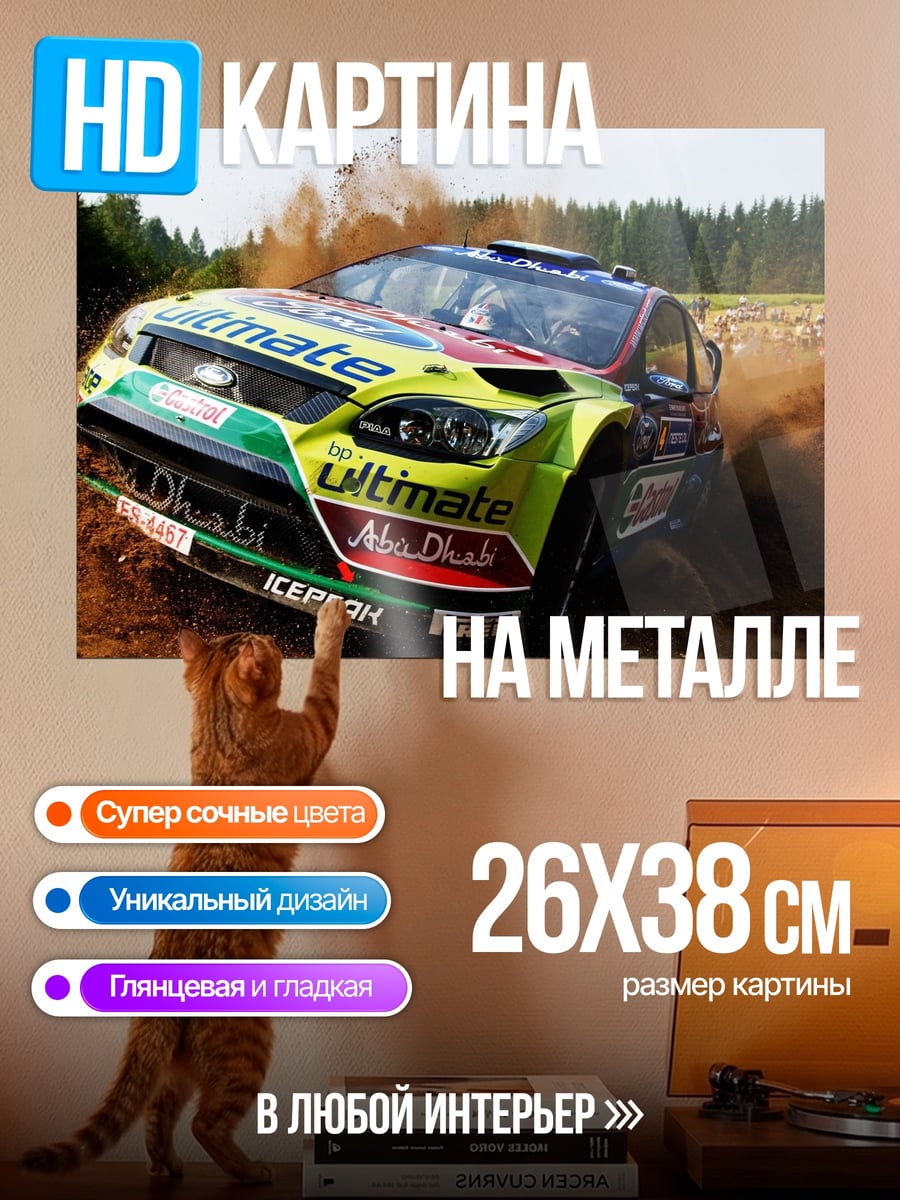 Картина на металле Ралли машина в грязи
