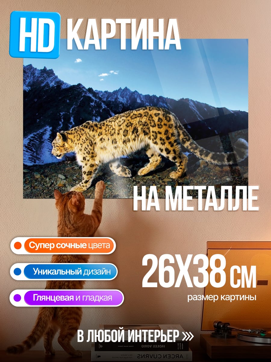 Картина на металле Снежный барс