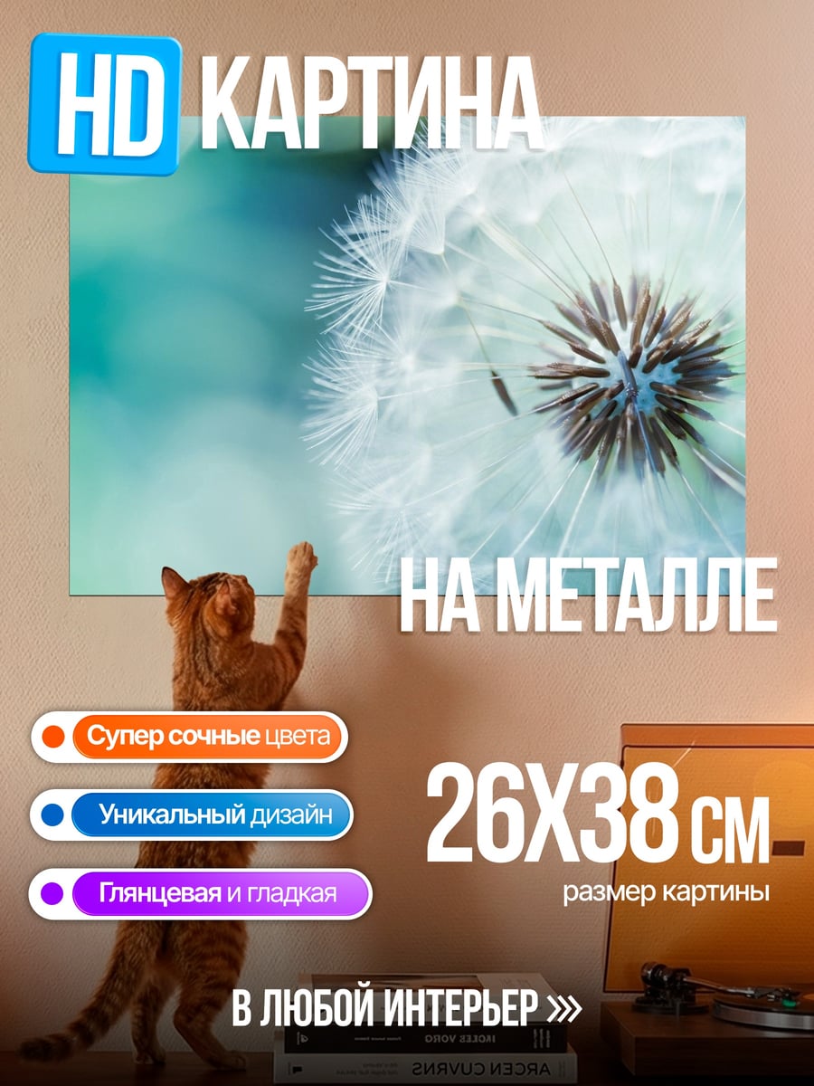 Картина на металле Одуванчик в росе