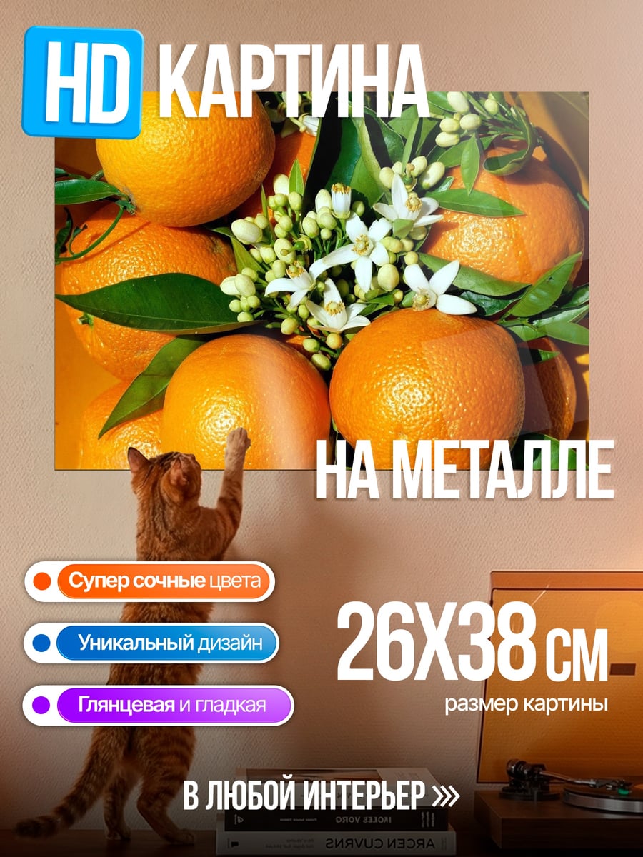 Картина на металле апельсины цветы листья