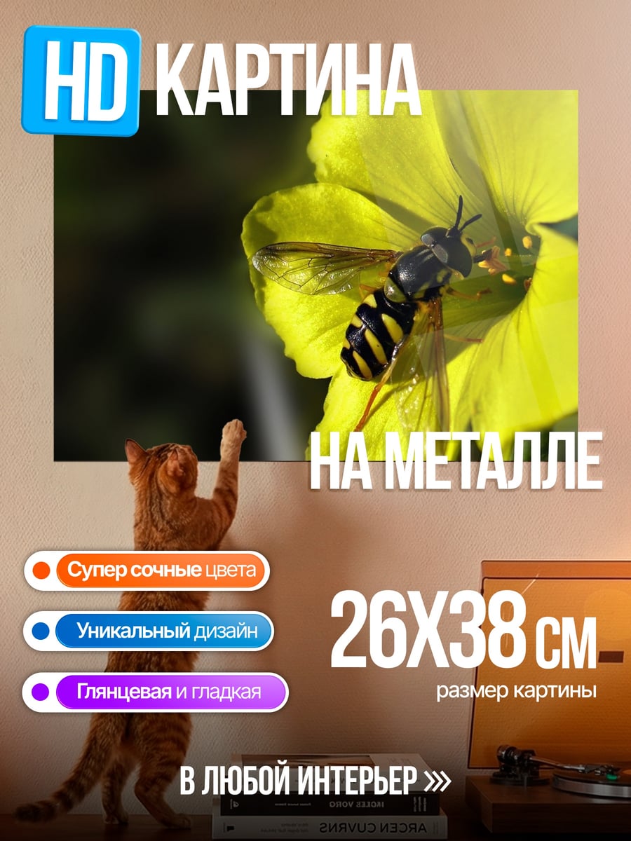 Картина на металле пчела на цветке
