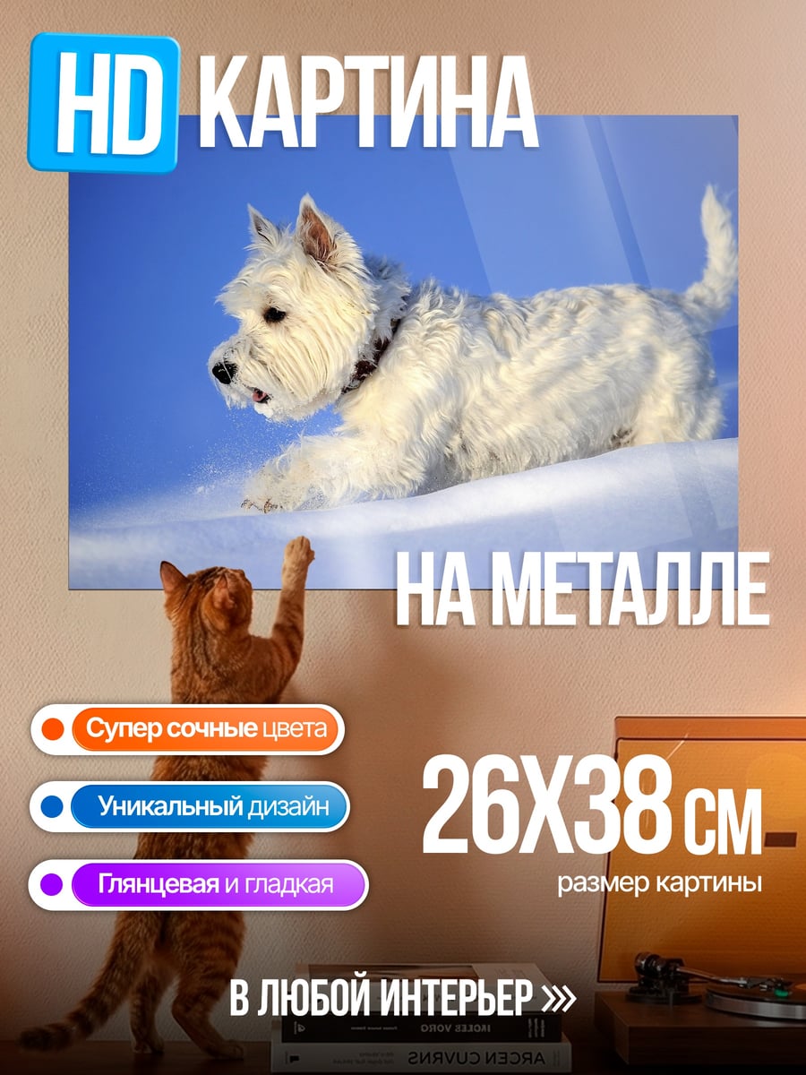 Картина на металле Белый пес на снегу