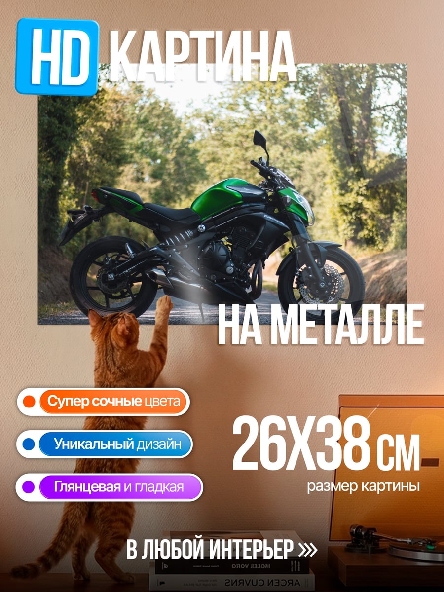 Картина на металле Зеленый мотоцикл в лесу