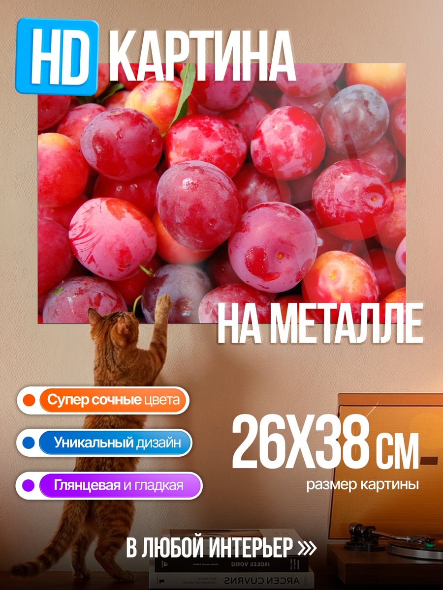 Картина на металле Спелые сливы