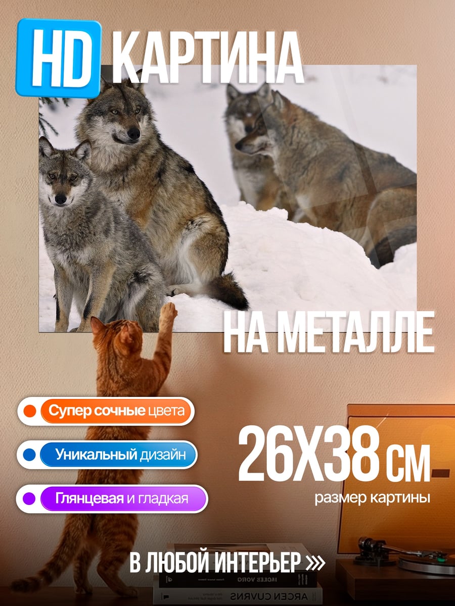 Картина на металле стая волков зимой
