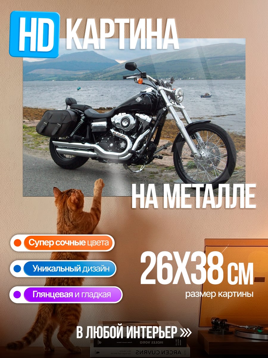 Картина на металле Черный мотоцикл у озера
