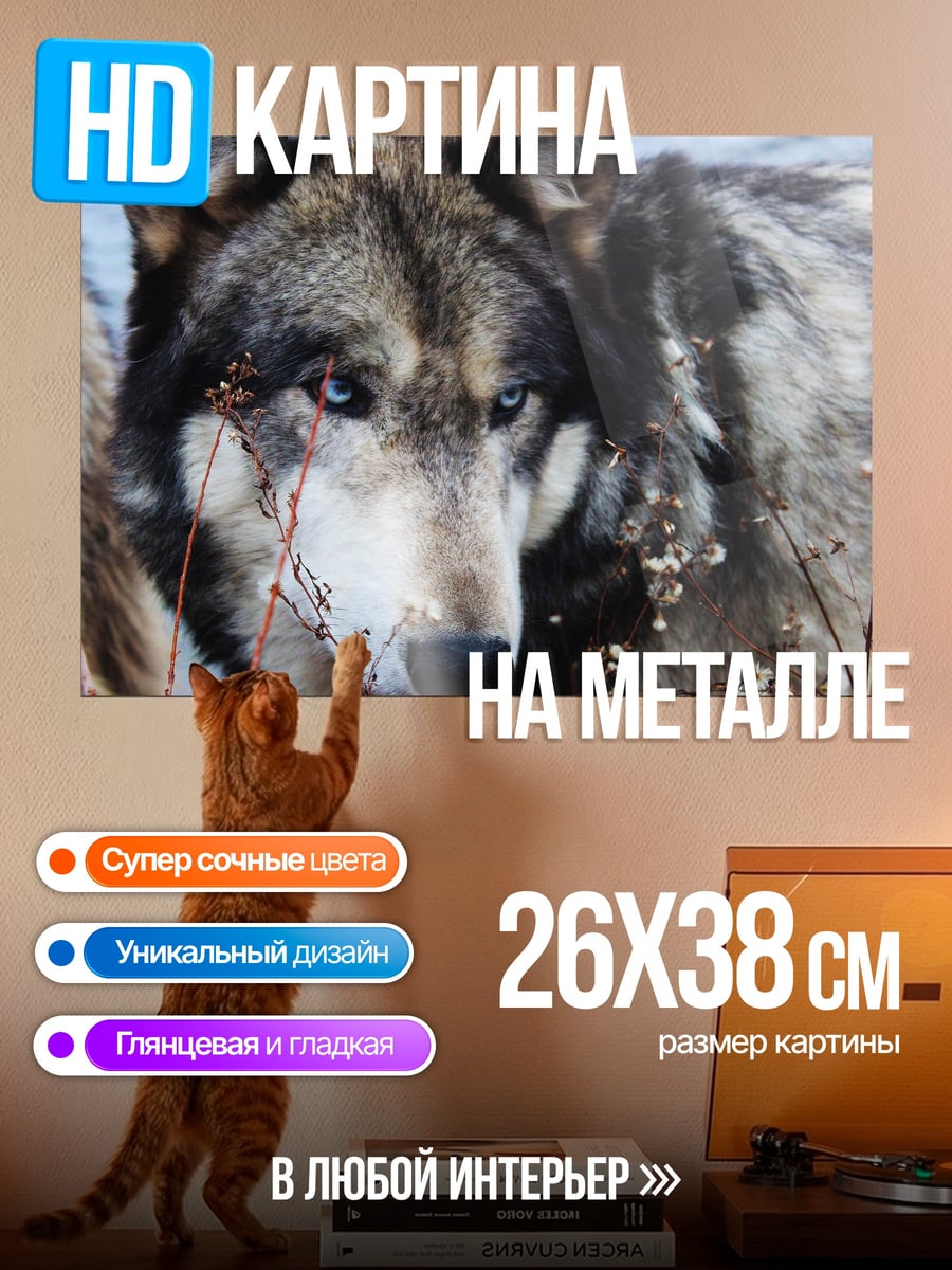Картина на металле портрет волка