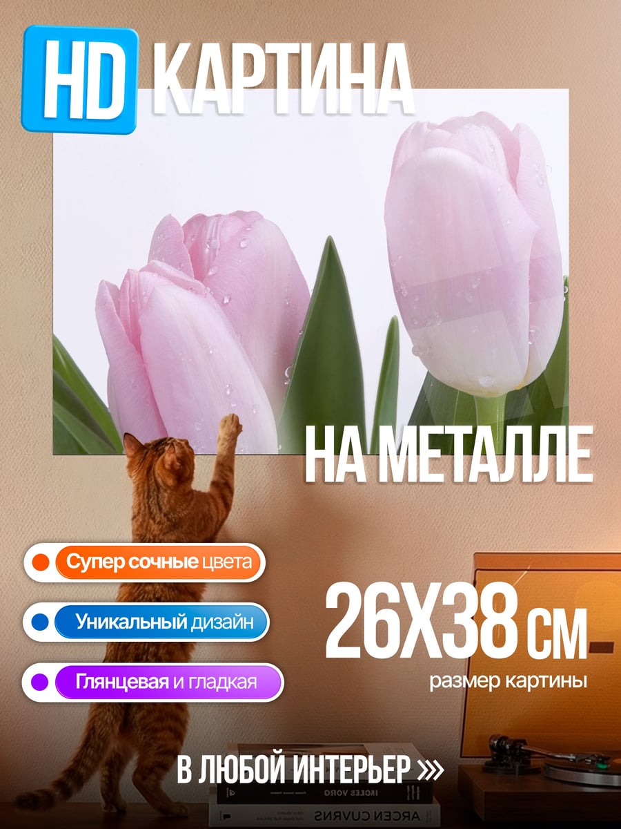Картина на металле розовые тюльпаны