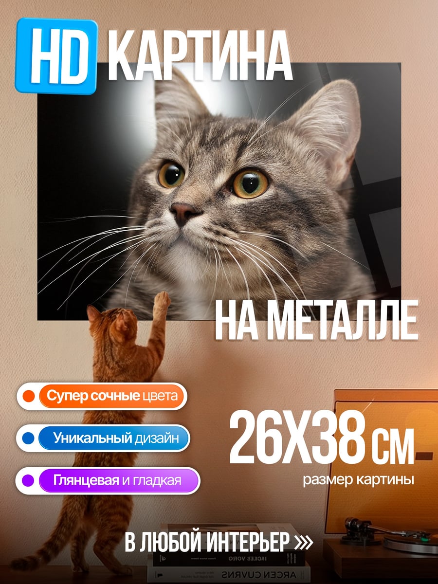 Картина на металле серый кот