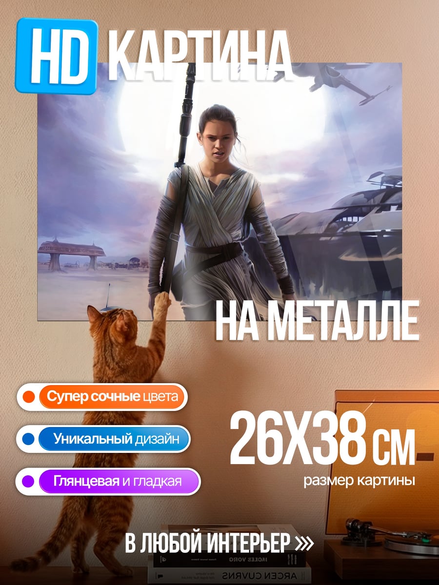 Картина на металле Рей и BB-8