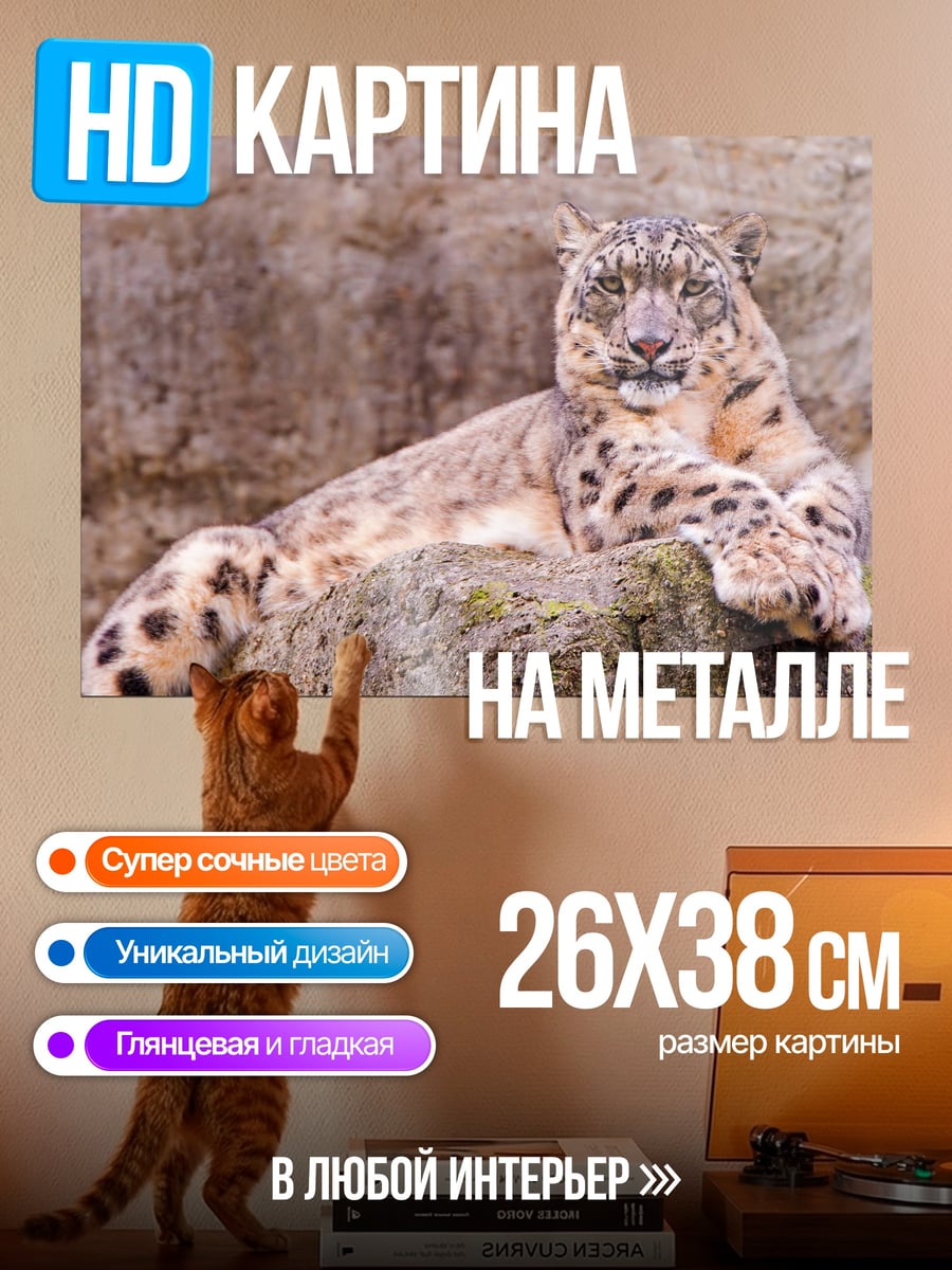 Картина на металле Леопард на камнях