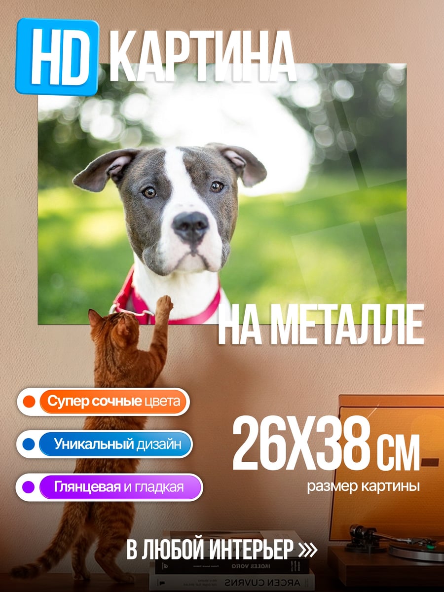 Картина на металле Питбуль на траве