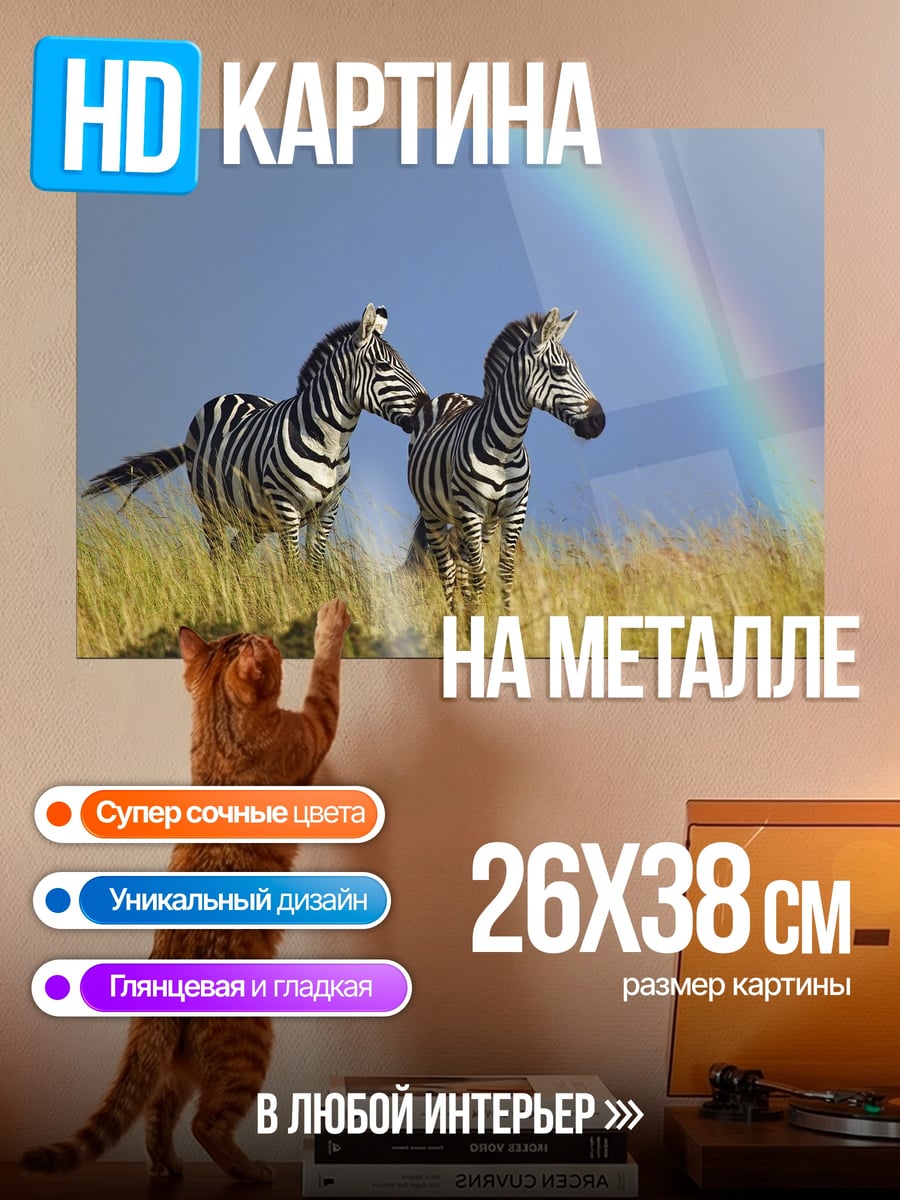 Картина на металле Зебры и радуга