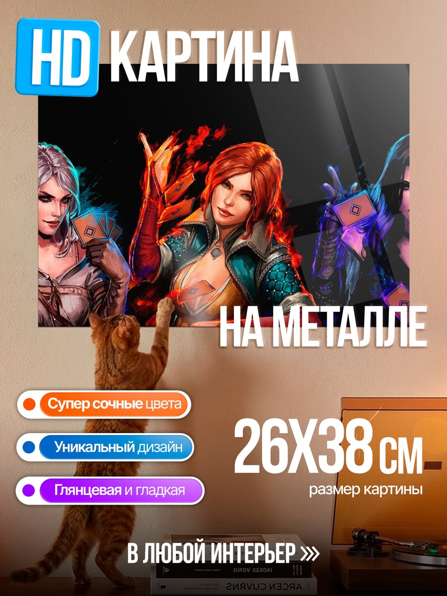 Картина на металле Девушки Ведьмака