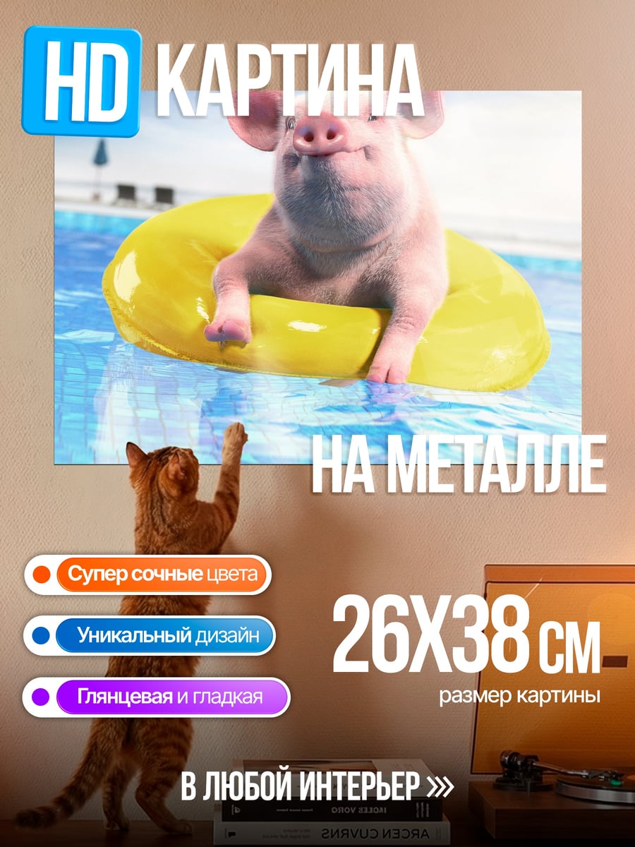 Картина на металле Свинья в бассейне