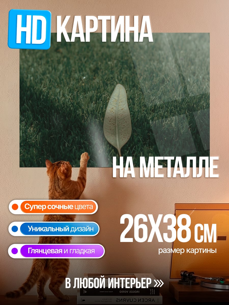 Картина на металле одинокий лист на траве