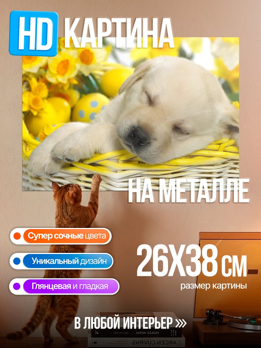 Картина на металле спящий щенок в корзине