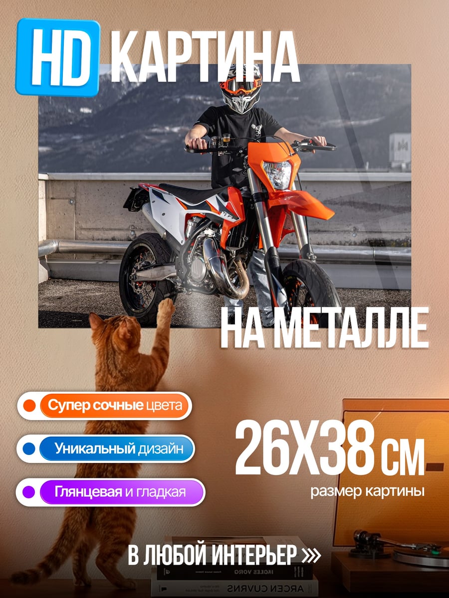 Картина на металле Мотоциклист на дороге