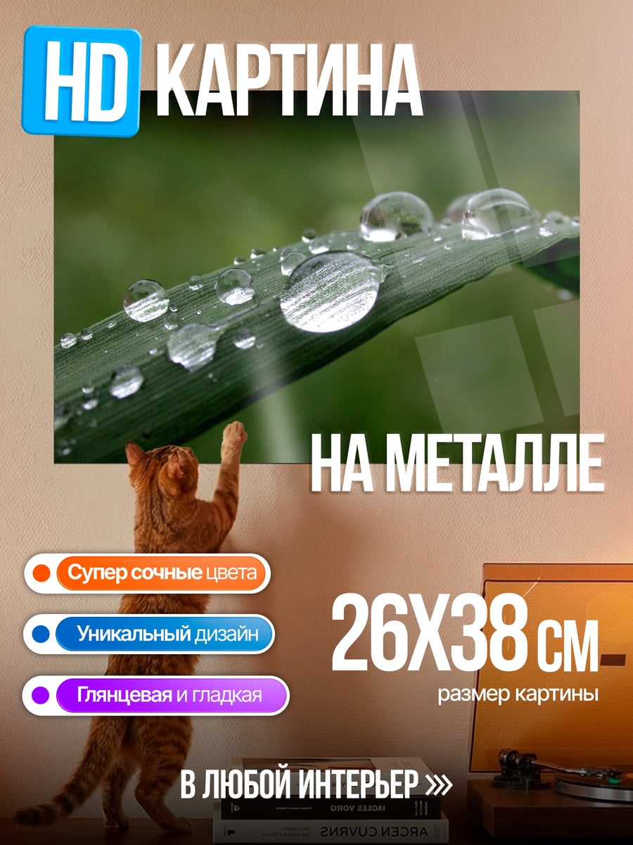 Картина на металле Капли на траве