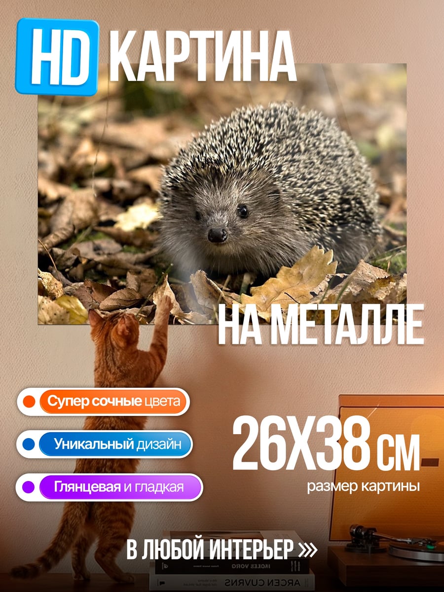 Картина на металле Ёжик в листьях