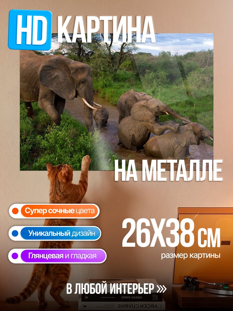 Картина на металле Слоны в реке