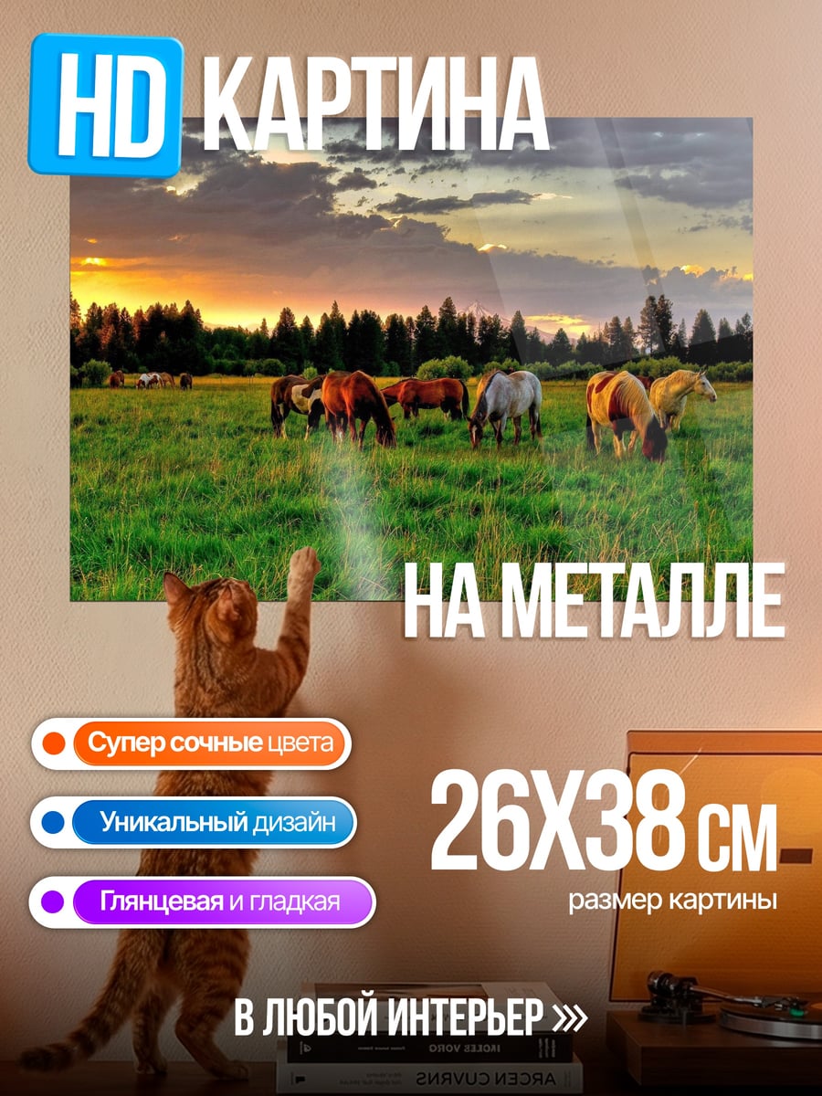 Картина на металле Лошади на закате
