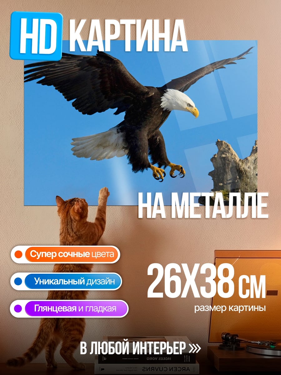 Картина на металле Орел в полете